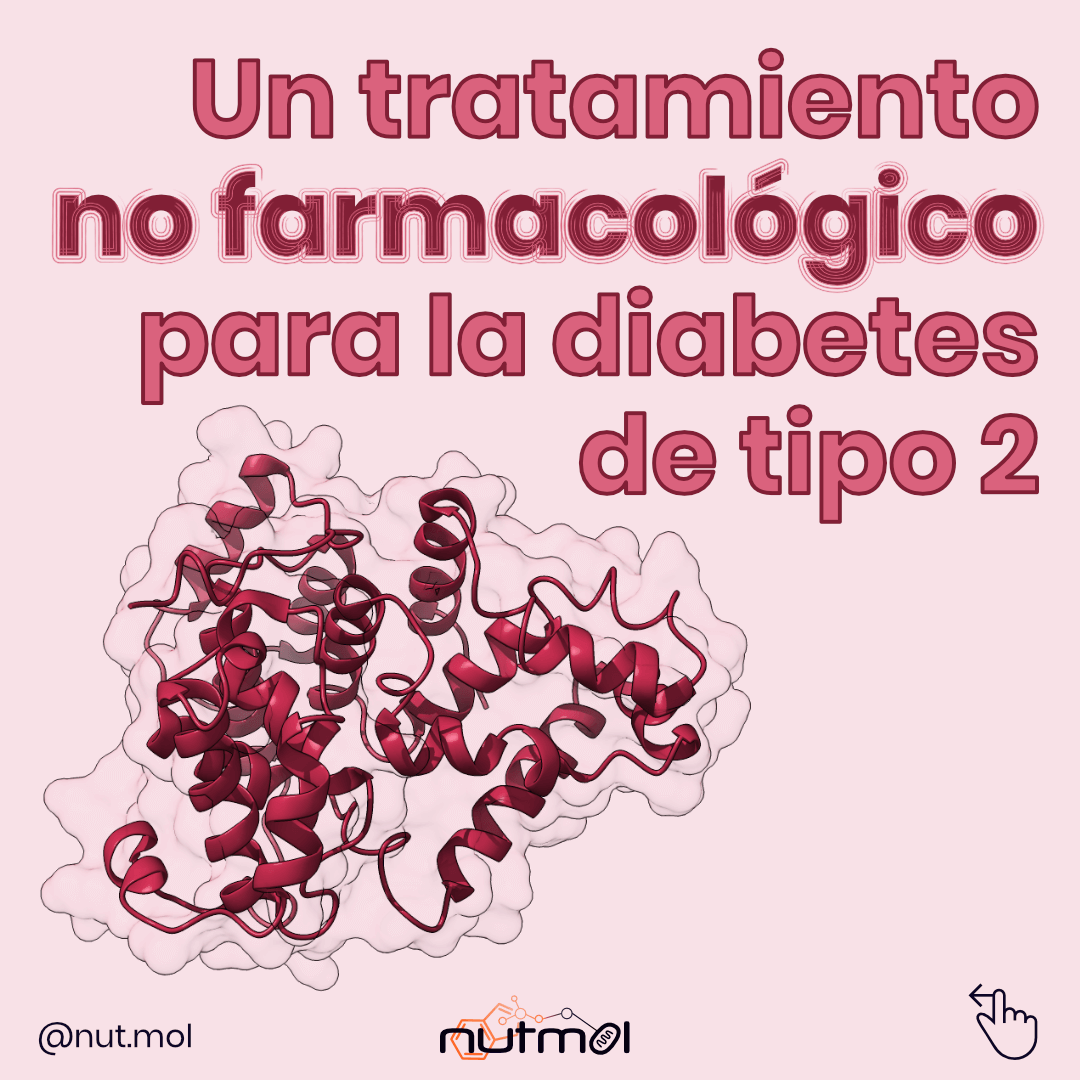 El ejercicio puede ser una alternativa no farmacológica para tratar la diabetes de tipo 2 porque la contracción muscular ayuda a mantener la sensibilidad a la insulina